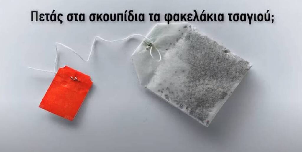 Έθαψε φακελάκια τσαγιού στον κήπο - Δείτε τον απίστευτο λόγο (photos)
