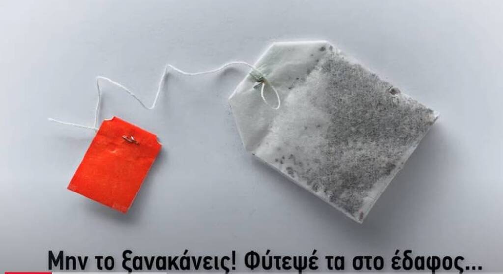 Έθαψε φακελάκια τσαγιού στον κήπο - Δείτε τον απίστευτο λόγο (photos)