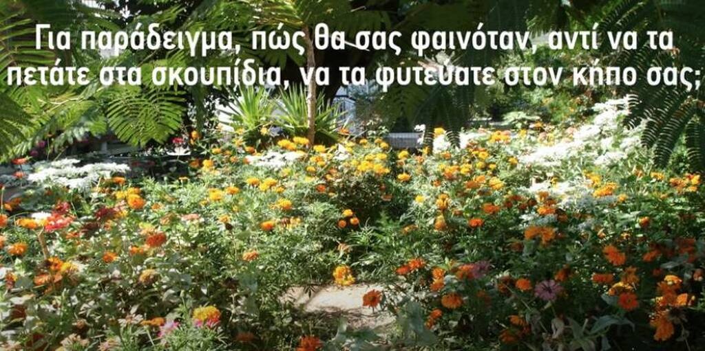 Έθαψε φακελάκια τσαγιού στον κήπο - Δείτε τον απίστευτο λόγο (photos)