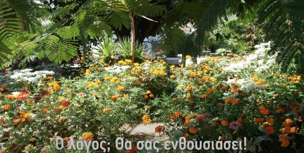 Έθαψε φακελάκια τσαγιού στον κήπο - Δείτε τον απίστευτο λόγο (photos)