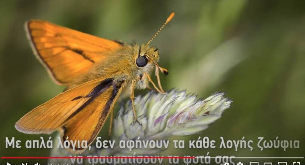 Έθαψε φακελάκια τσαγιού στον κήπο - Δείτε τον απίστευτο λόγο (photos)