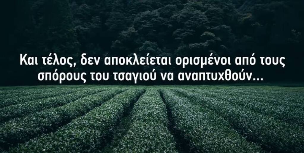 Έθαψε φακελάκια τσαγιού στον κήπο - Δείτε τον απίστευτο λόγο (photos)