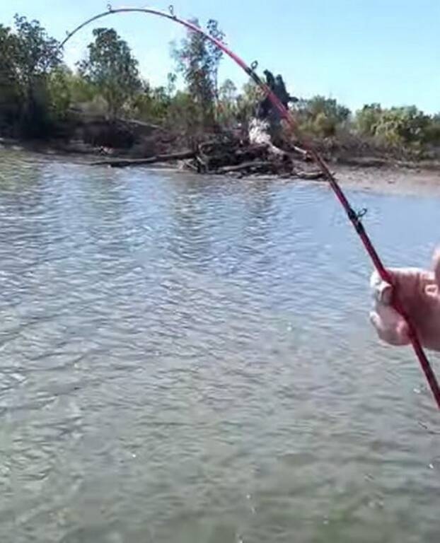 Ψαράς νόμιζε πως έκανε την ψαριά της ζωής του - Τρόμαξε μόλις έβγαλε ένα δίμετρο θηρίο (pics+vid)