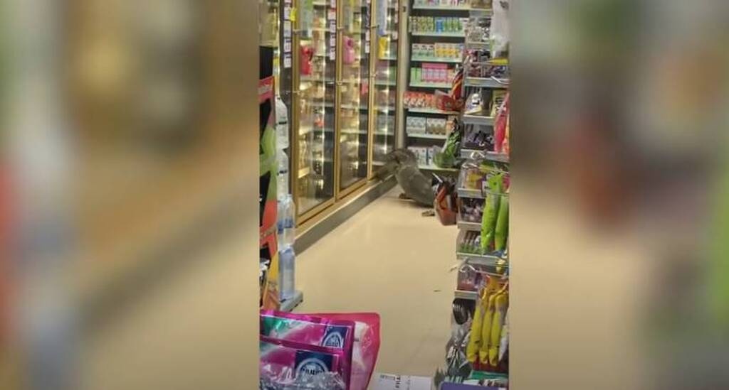 Πήγαν σούπερ μάρκετ και τα είδαν... όλα - Γλίτωσαν από θαύμα (photos)