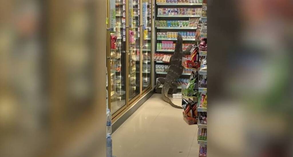Πήγαν σούπερ μάρκετ και τα είδαν... όλα - Γλίτωσαν από θαύμα (photos)