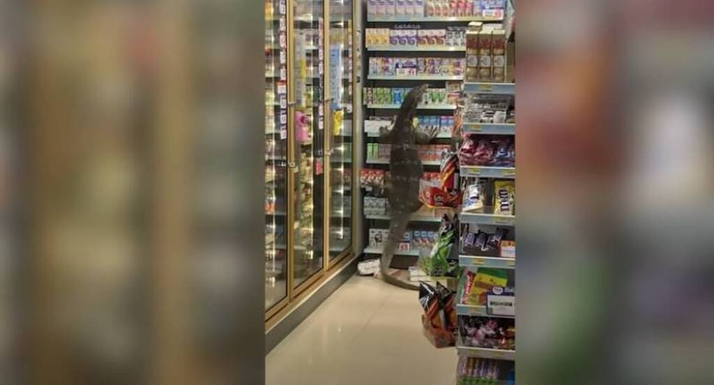 Πήγαν σούπερ μάρκετ και τα είδαν... όλα - Γλίτωσαν από θαύμα (photos)