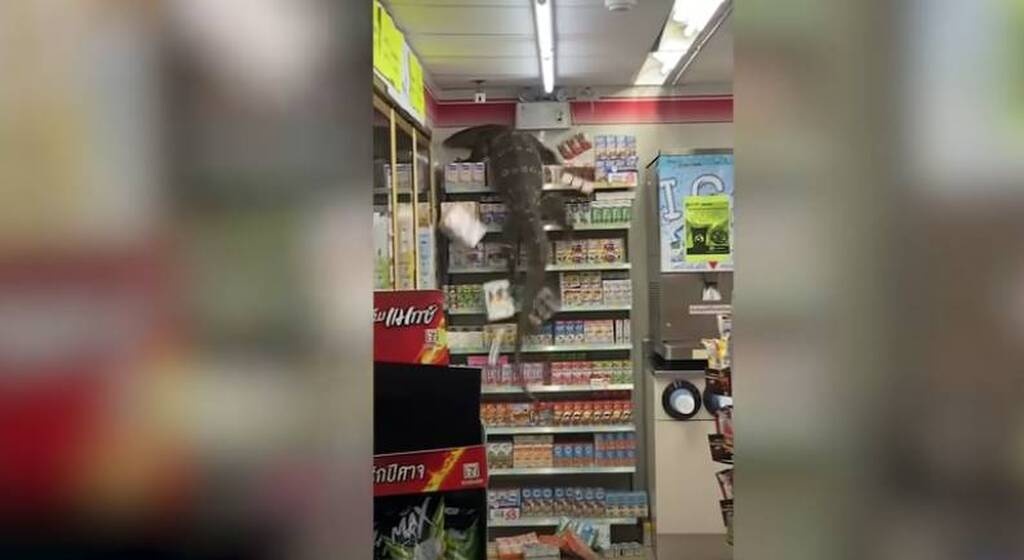 Πήγαν σούπερ μάρκετ και τα είδαν... όλα - Γλίτωσαν από θαύμα (photos)