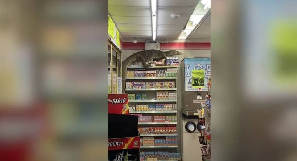 Πήγαν σούπερ μάρκετ και τα είδαν... όλα - Γλίτωσαν από θαύμα (photos)
