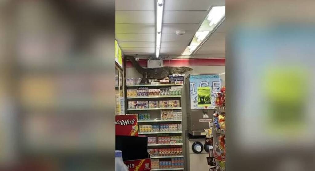 Πήγαν σούπερ μάρκετ και τα είδαν... όλα - Γλίτωσαν από θαύμα (photos)