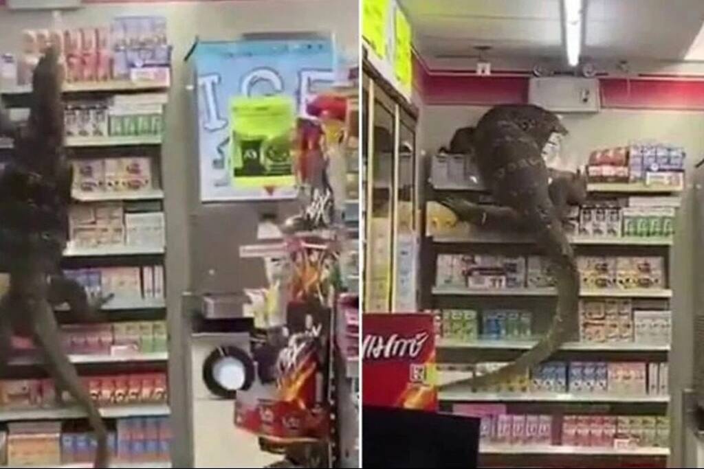 Πήγαν σούπερ μάρκετ και τα είδαν... όλα - Γλίτωσαν από θαύμα (photos)