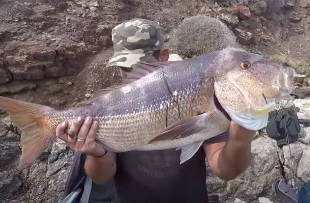Απίθανη ψαριά με «θηρίο» - Δεν πίστευε αυτό που έβγαλε