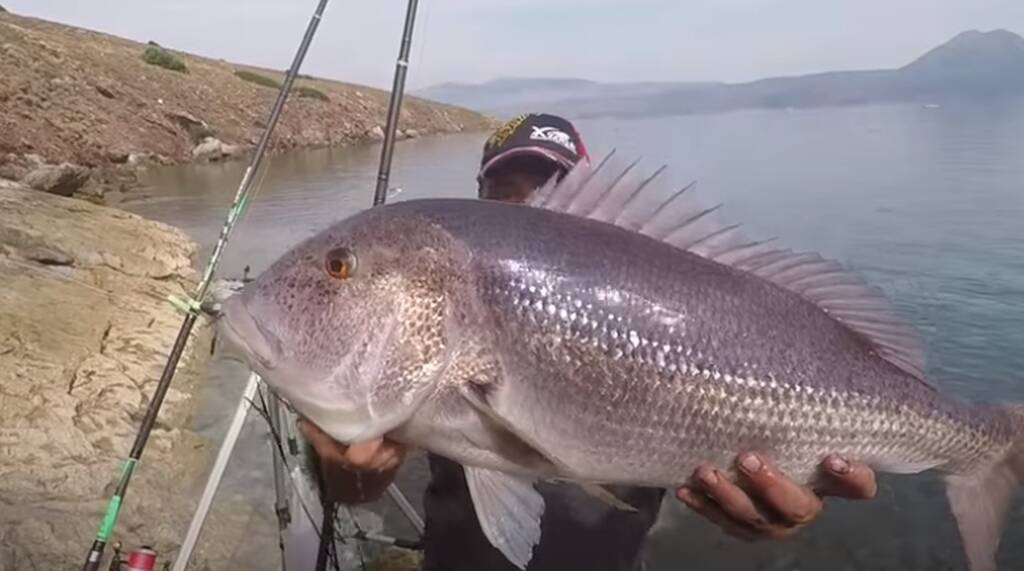 Απίθανη ψαριά με «θηρίο» - Δεν πίστευε αυτό που έβγαλε