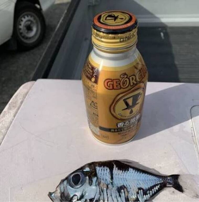 Αυτό είναι το... μεταλλικό ψάρι που έγινε viral (photos)