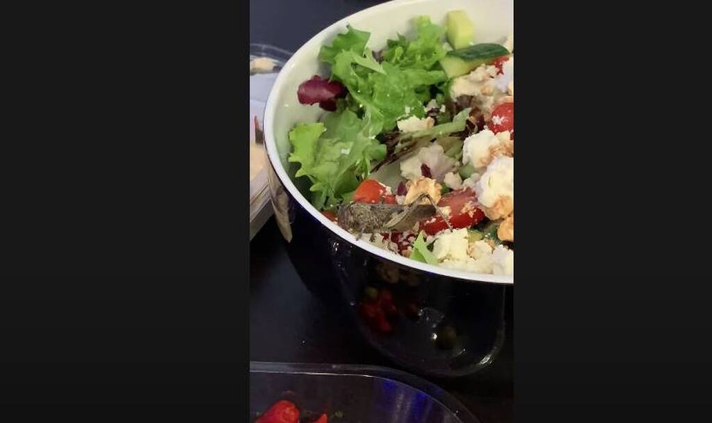 Παρήγγειλαν σαλάτα και αυτό που βρήκαν μέσα θα το θυμούνται για πάντα