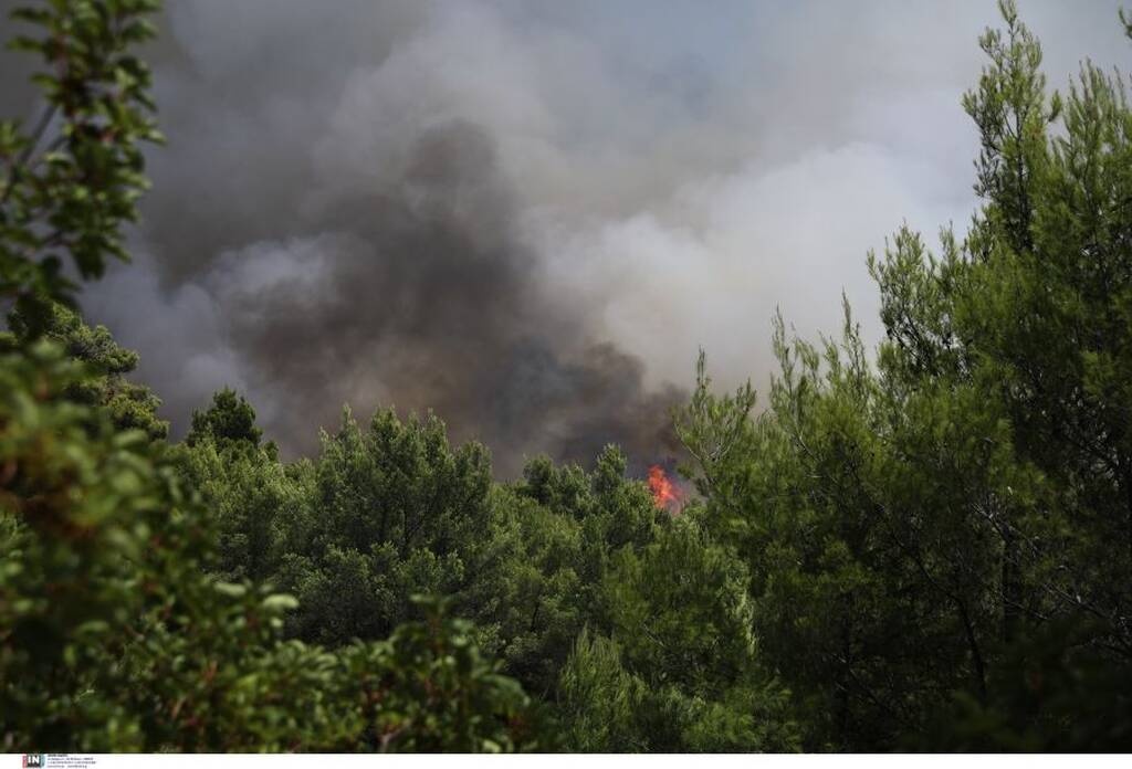 Πύρινος εφιάλτης στη Βόρεια Αττική: Καίγονται σπίτια στη Δροσοπηγή, εκκενώνεται το Κρυονέρι
