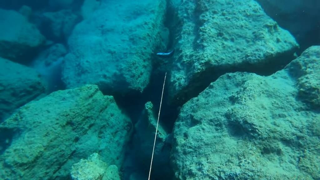 Τρόμος για ψαράδες στην Κρήτη - Τους επιτέθηκε επικίνδυνο ψάρι (photos+video)