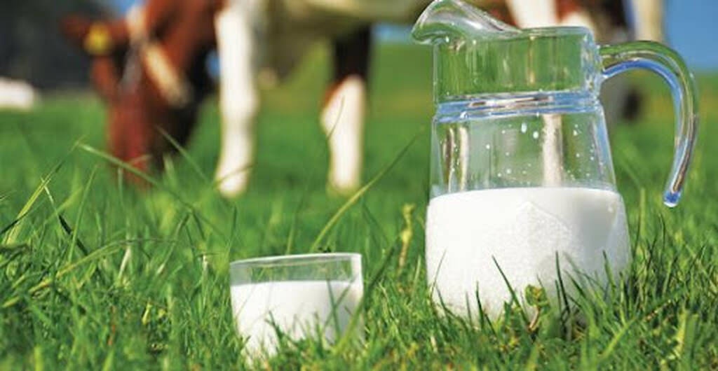 Ένα μπουκάλι αγελαδινό γάλα: 240 δραχμές (70 λεπτά). Σήμερα ξεκινάει από 80 λεπτά – αν είναι της εταιρείας του σούπερ μάρκετ και φτάνει στα 1,80 €.