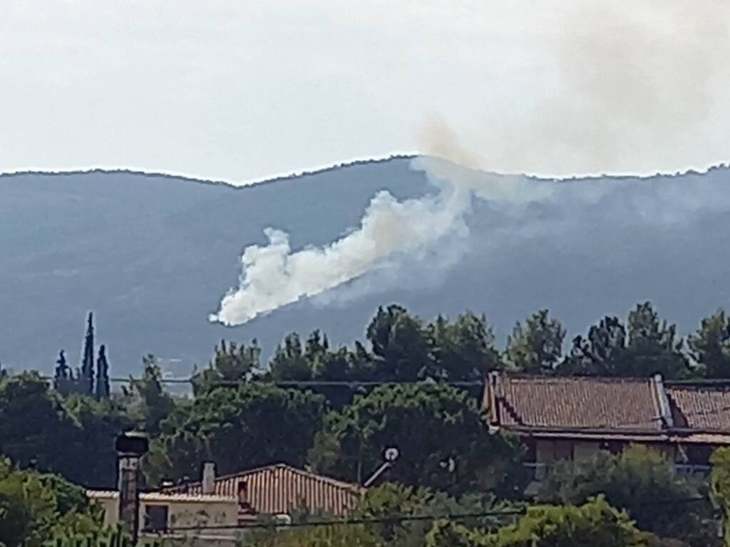 Φωτιά ΤΩΡΑ: Νέα πυρκαγιά στην Πάρνηθα - Συναγερμός στην Πυροσβεστική