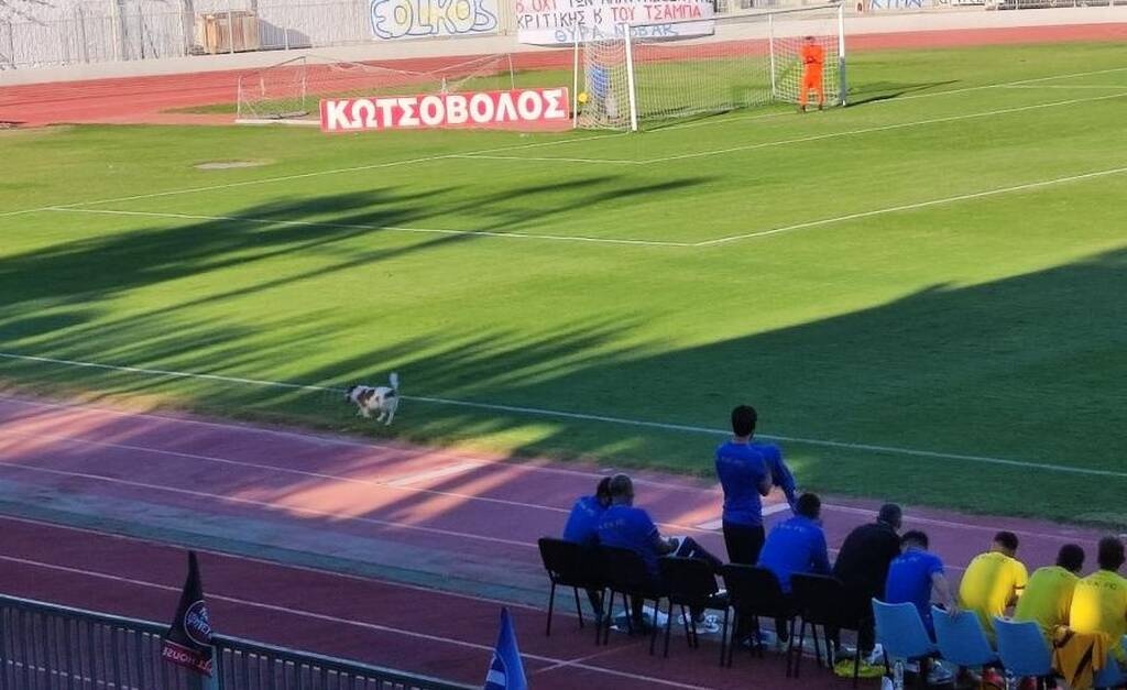 Απρόσμενος «εισβολέας» διέκοψε το φιλικό Αιολικός-ΑΕΚ Β (photos+video)