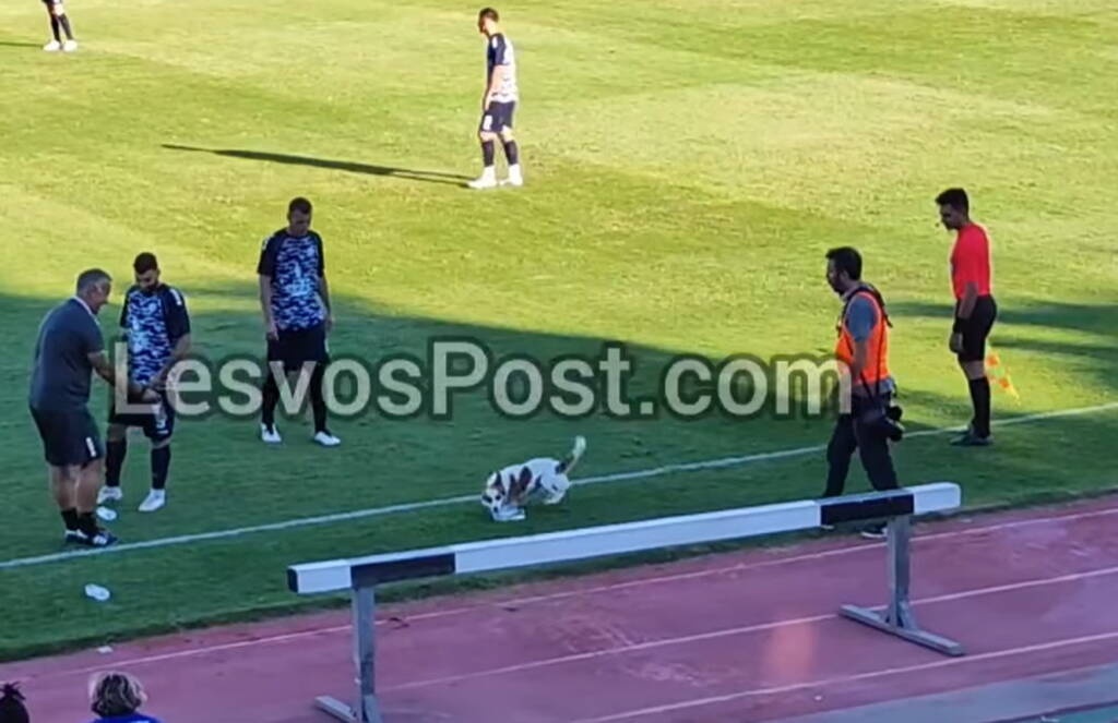 Απρόσμενος «εισβολέας» διέκοψε το φιλικό Αιολικός-ΑΕΚ Β (photos+video)