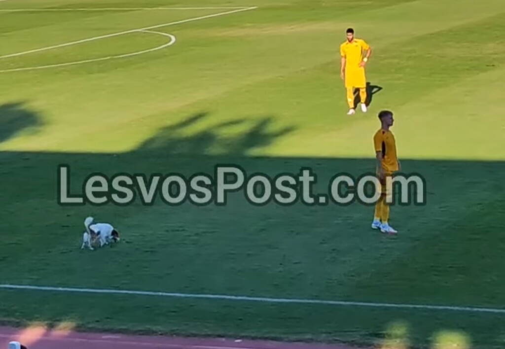 Απρόσμενος «εισβολέας» διέκοψε το φιλικό Αιολικός-ΑΕΚ Β (photos+video)