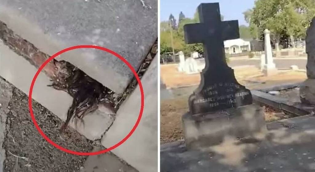 Τρόμος - Πήγε σε νεκροταφείο και σάστισε μόλις είδε τι ανατριχιαστικό έβγαινε από τάφο (pics+vid)