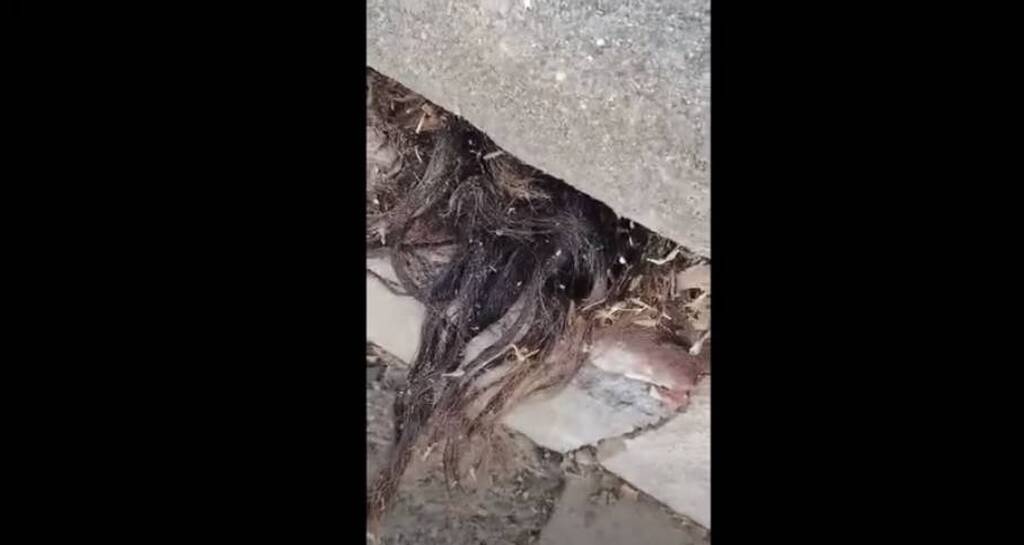 Τρόμος - Πήγε σε νεκροταφείο και σάστισε μόλις είδε τι ανατριχιαστικό έβγαινε από τάφο (pics+vid)