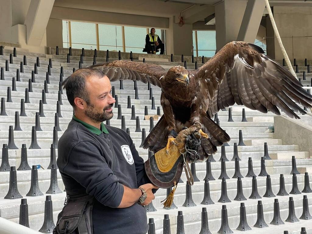 ΑΕΚ: Ο αετός που θα πετά στην «Αγιά Σοφιά» (photos)