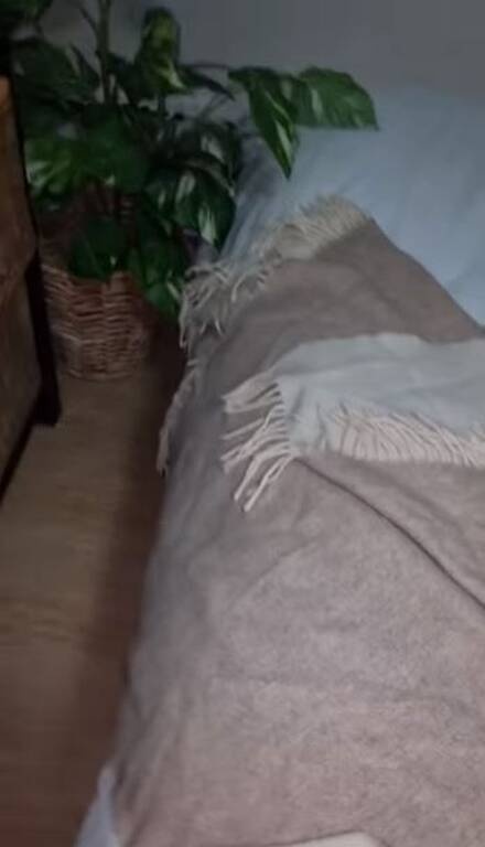 Πήγε να μπει στο δωμάτιο και «πάγωσε» - Απίστευτο αυτό που κρυβόταν κάτω από τα μαξιλάρια (pics+vid)