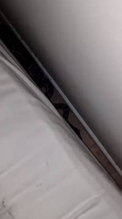 Πήγε να μπει στο δωμάτιο και «πάγωσε» - Απίστευτο αυτό που κρυβόταν κάτω από τα μαξιλάρια (pics+vid)