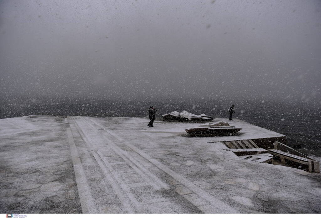 Κακοκαιρία «Ελπίδα»: Βούτηξε στην παγωμένη θάλασσα και έβγαλε τεράστιο χταπόδι (photos)