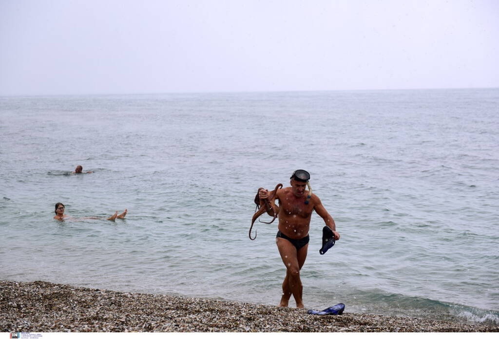 Κακοκαιρία «Ελπίδα»: Βούτηξε στην παγωμένη θάλασσα και έβγαλε τεράστιο χταπόδι (photos)