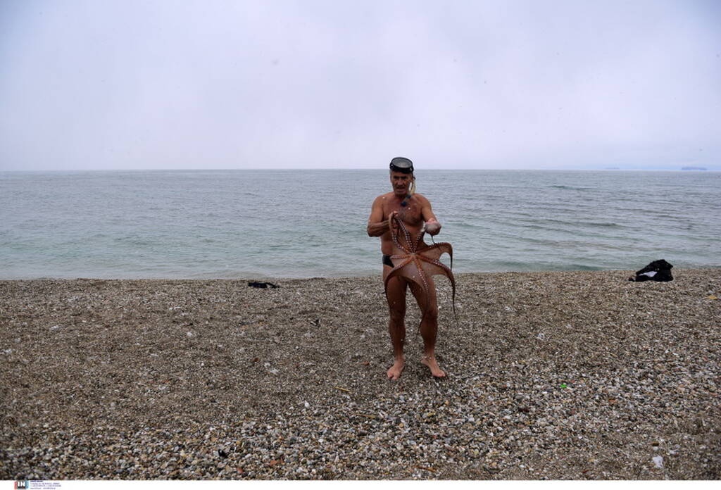 Κακοκαιρία «Ελπίδα»: Βούτηξε στην παγωμένη θάλασσα και έβγαλε τεράστιο χταπόδι (photos)