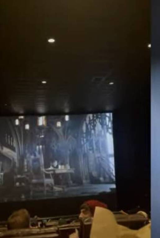 Απίθανος τύπος πήγε να δει το Batman και άφησε ζωντανή νυχτερίδα στην αίθουσα! (photos+video)