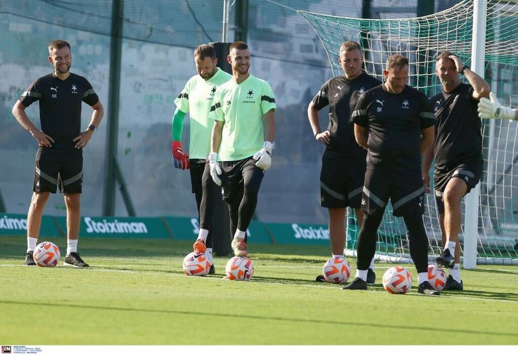 «Πληρωμένη» και... επιστημονική απάντηση στους Τσέχους για το χορτάρι στη Λεωφόρο (photo)