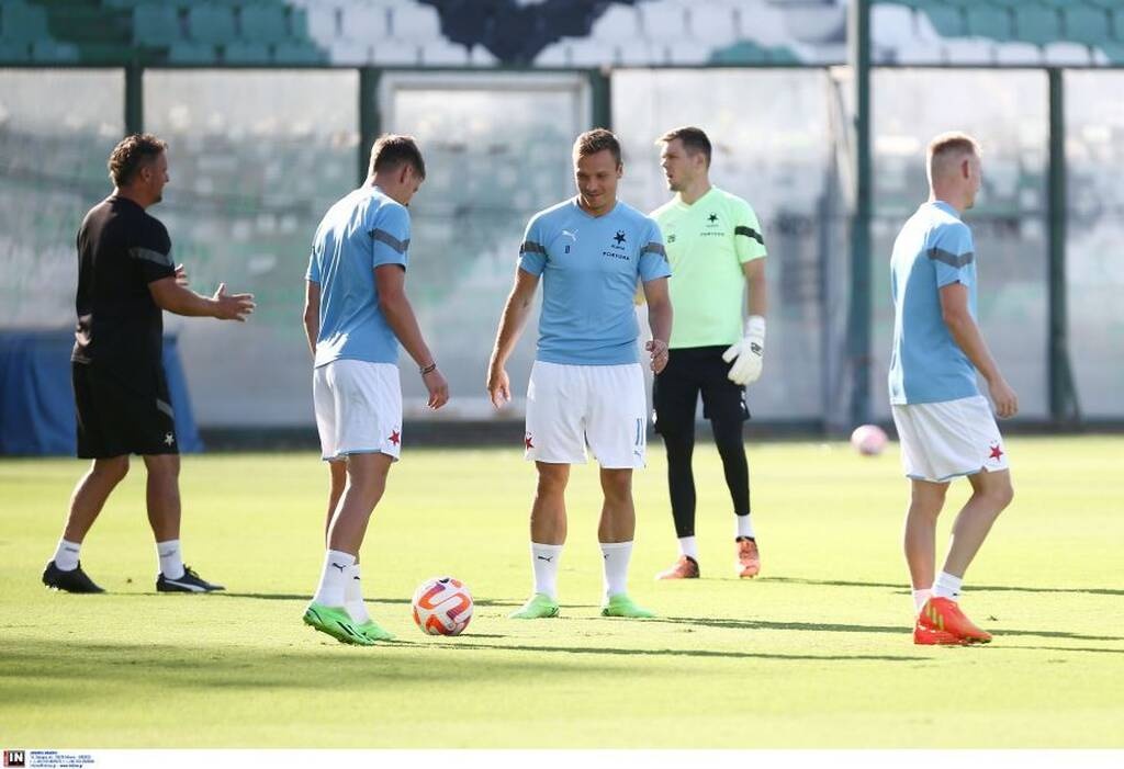 «Πληρωμένη» και... επιστημονική απάντηση στους Τσέχους για το χορτάρι στη Λεωφόρο (photo)