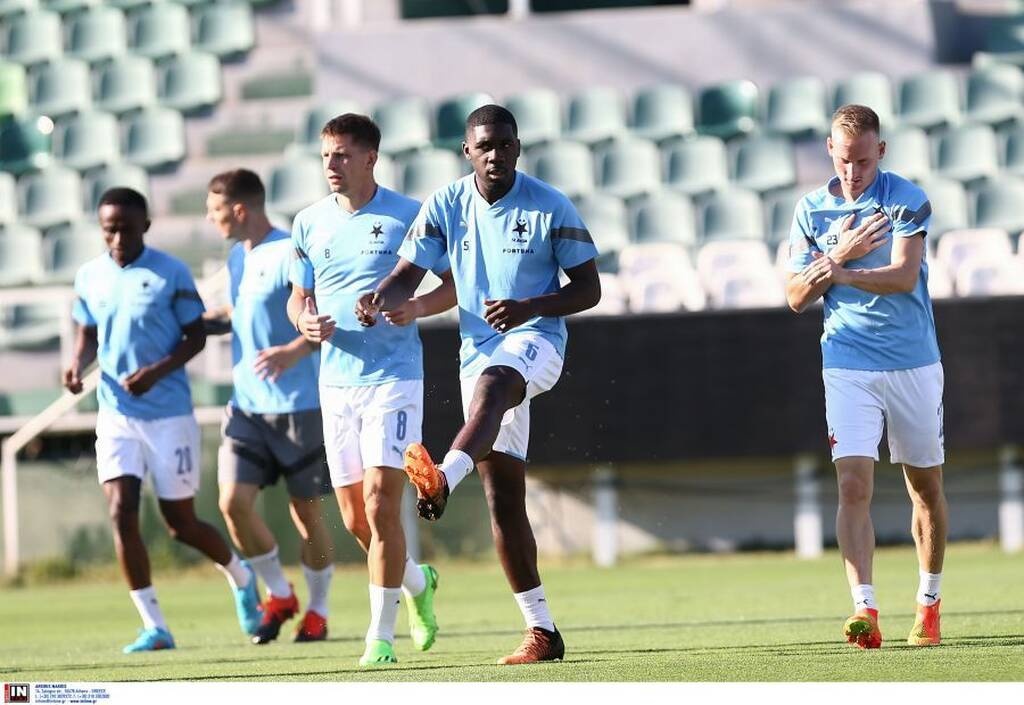 «Πληρωμένη» και... επιστημονική απάντηση στους Τσέχους για το χορτάρι στη Λεωφόρο (photo)