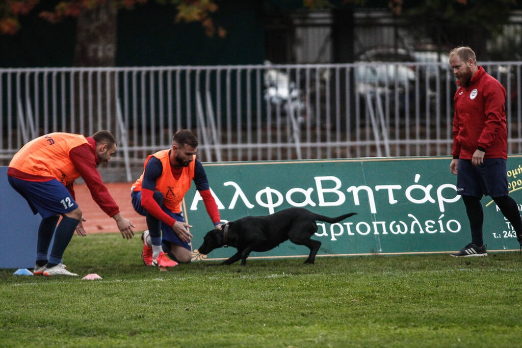 Γ’ Εθνική: Σκύλος εισέβαλε σε ματς και το διέκοψε δύο φορές (photos+video)