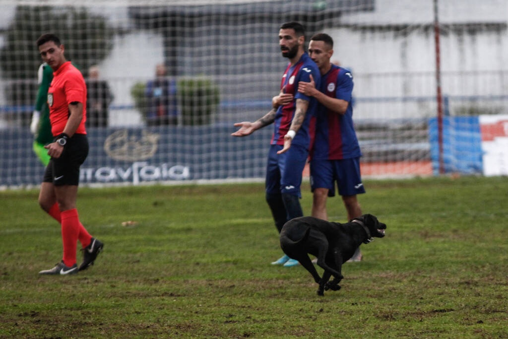 Γ’ Εθνική: Σκύλος εισέβαλε σε ματς και το διέκοψε δύο φορές (photos+video)