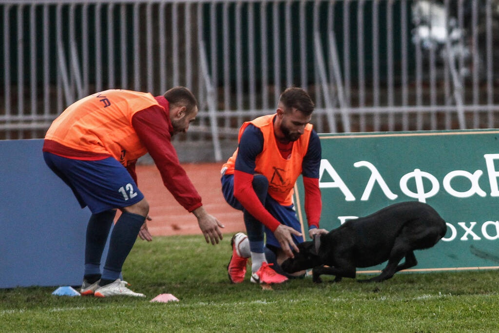 Γ’ Εθνική: Σκύλος εισέβαλε σε ματς και το διέκοψε δύο φορές (photos+video)