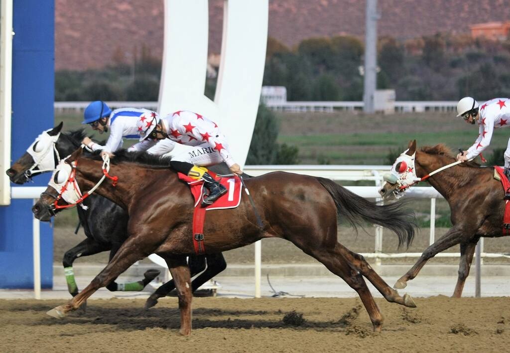 Markopoulo Park: Ένδεκα νικητές στο ΣΚΟΡ 6 κέρδισαν από 2.332 ευρώ