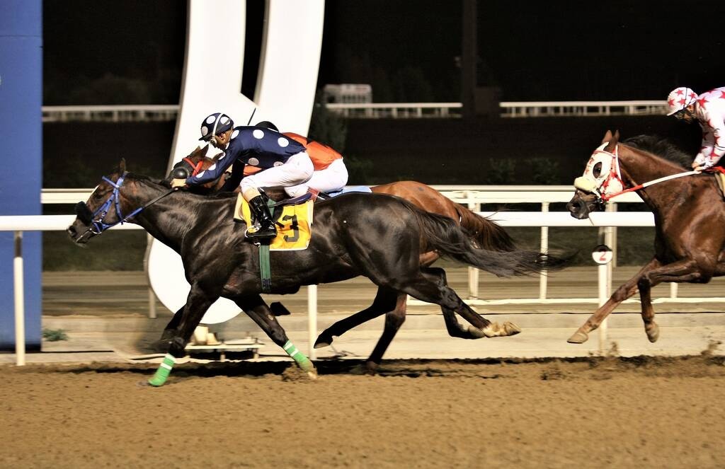 Markopoulo Park: Τρία ΣΚΟΡ και πέντε ελληνικές ιπποδρομίες τη Δευτέρα
