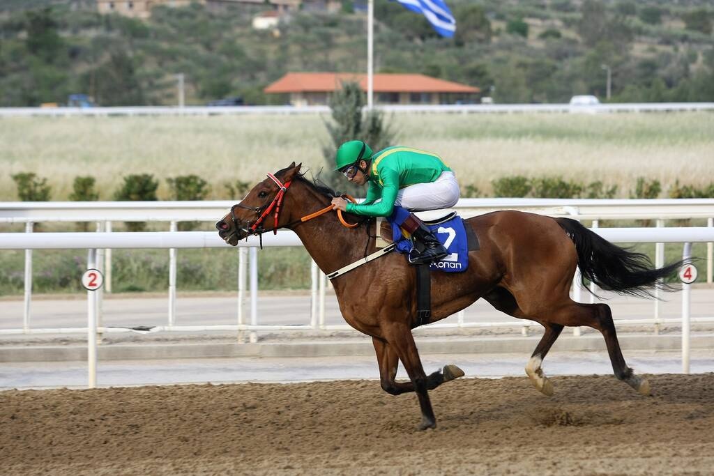 Markopoulo Park: Πολλοί νικητές τη Δευτέρα στο ΣΚΟΡ 6