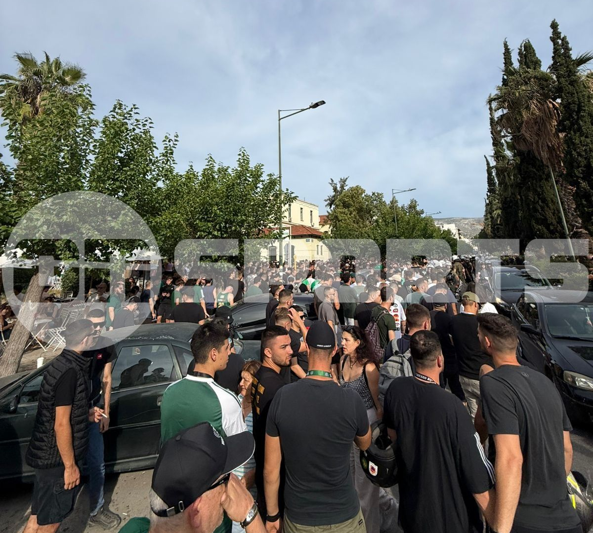 Panathinaikos-Fans