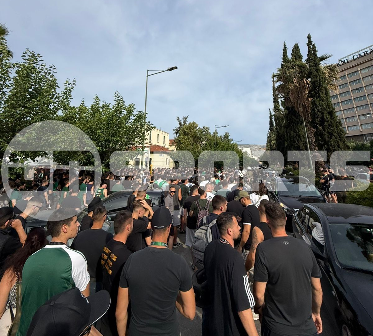 Panathinaikos-Fans