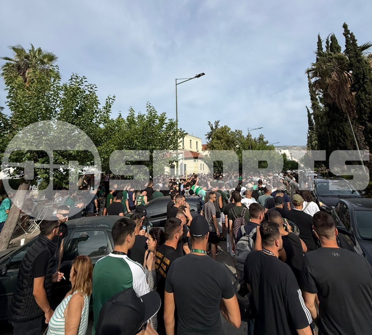 Panathinaikos-Fans