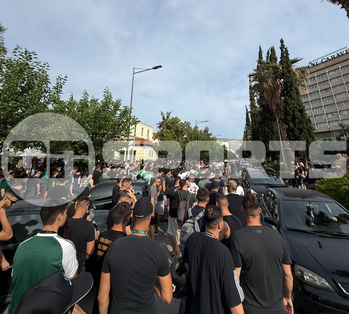 Panathinaikos-Fans