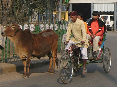 Μια αγωνιστική, πολλά συμπεράσματα...