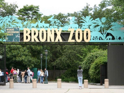 Η… φάρμα του Πρωταθλήματος