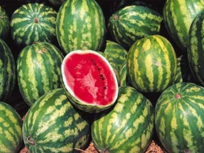 Μεταγραφές… καρπούζια! (παιχταράδες ή παλτά;)
